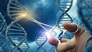 "CRISPR Gene Editing: A Revolutionary Step Toward Curing Genetic Diseases"